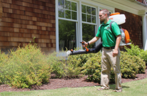 Mosquito Joe of East Mississippi technician spraying bushes out of a home. 